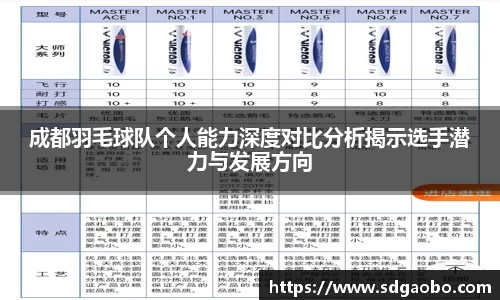 成都羽毛球队个人能力深度对比分析揭示选手潜力与发展方向